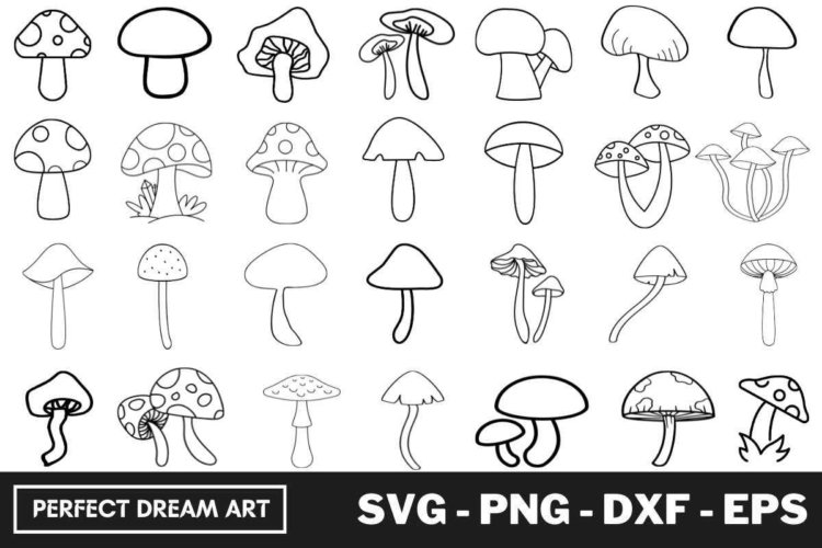 Mushroom Svg Bundle Outline